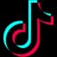 تيك توك (TikTok)